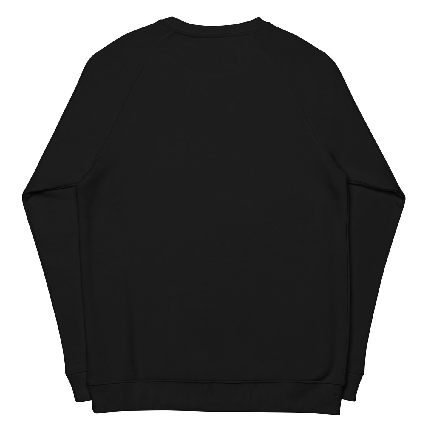 Time to get blitzened Unisex organic raglan sweatshirt