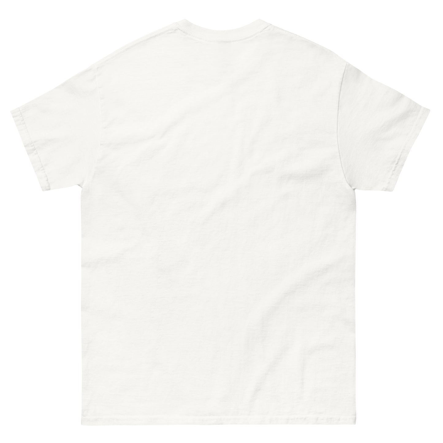 I don’t sing Unisex classic tee
